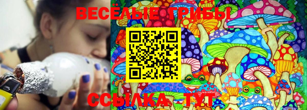Канаш  Галлюциногенные грибы Psilocybe  Вход с VPN 